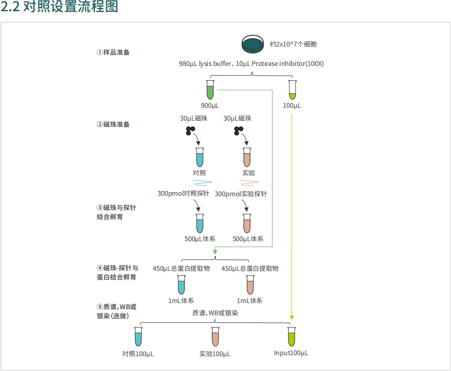 55402永利mg(中国)官方网站入口