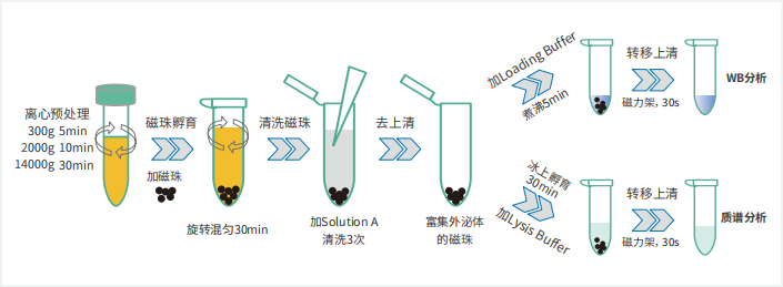 55402永利mg(中国)官方网站入口