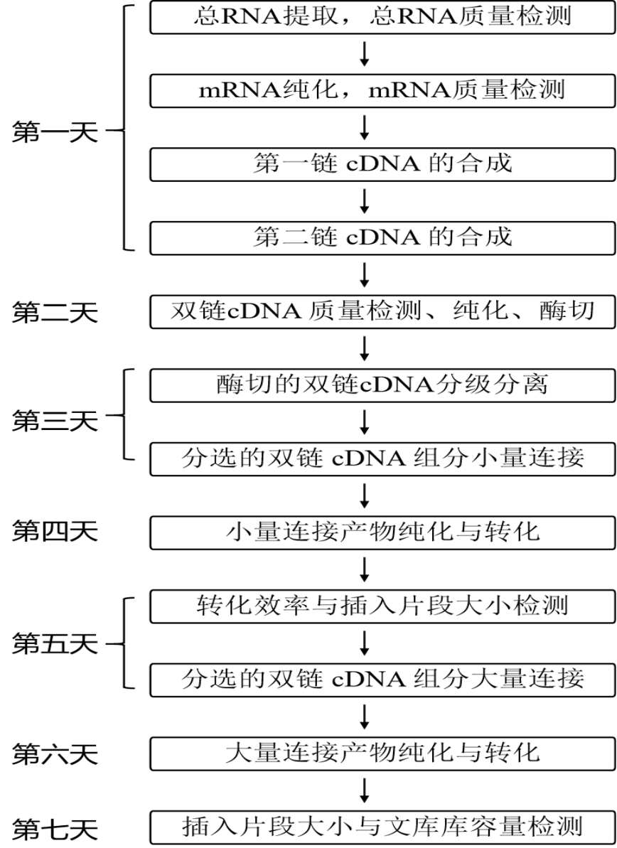 55402永利mg(中国)官方网站入口